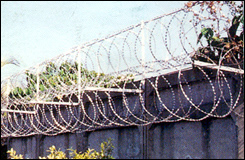 Razor Barbed Wire